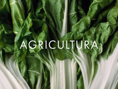 AGRICULTURA