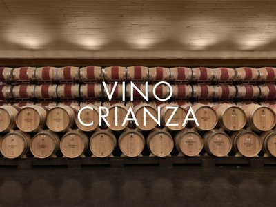 VINO – CRIANZA