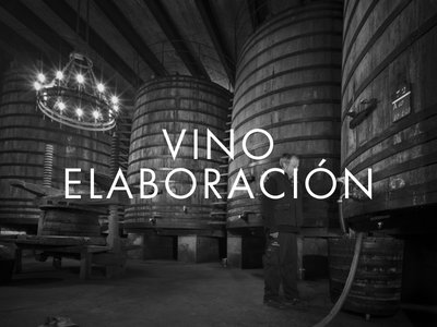 VINO – ELABORACIÓN