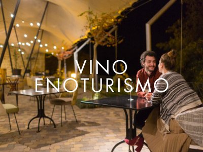 VINO – ENOTURISMO