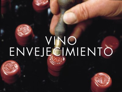 VINO – ENVEJECIMIENTO