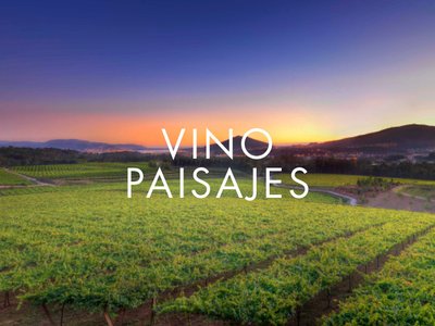 VINO – PAISAJES