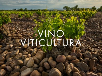 VINO – VITICULTURA